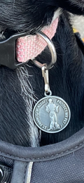 St. Francis of Assisi pet medal
