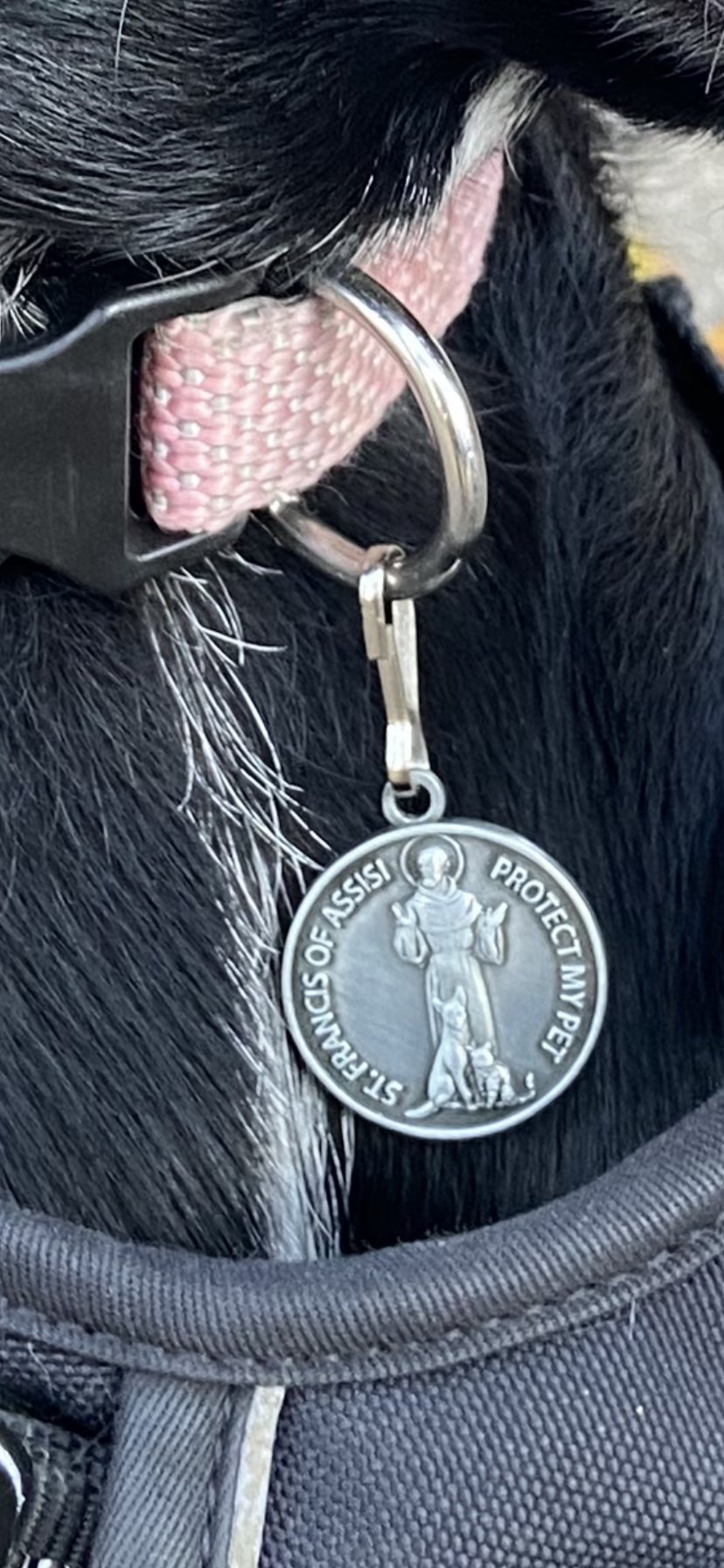 St. Francis of Assisi pet medal